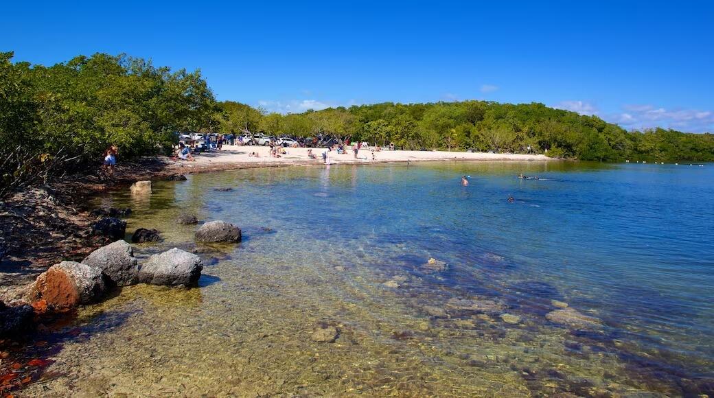Picture of John Pennekamp Coral Reef State Park