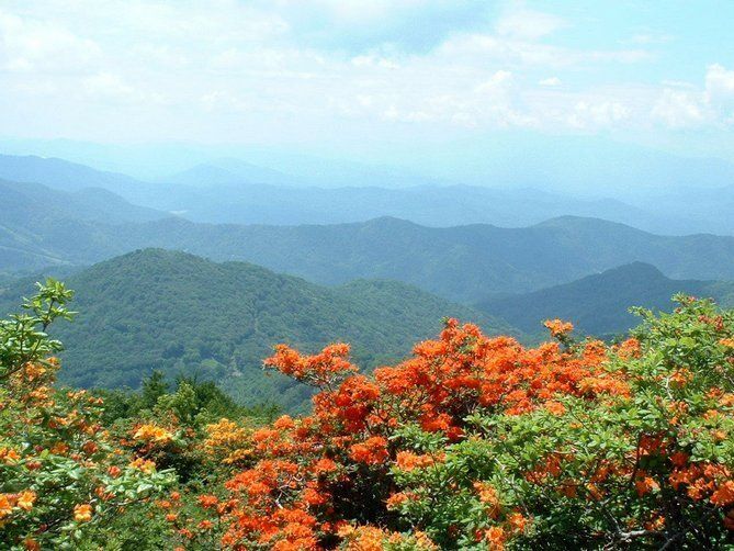 Picture of Buffalo Mountain Park