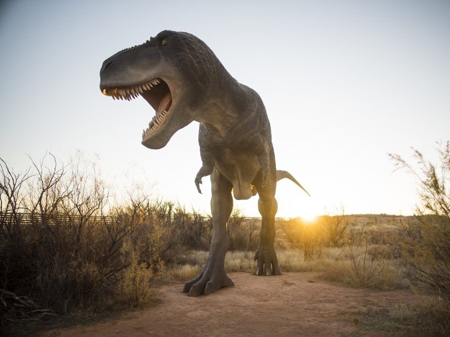 Picture of Moab Giants