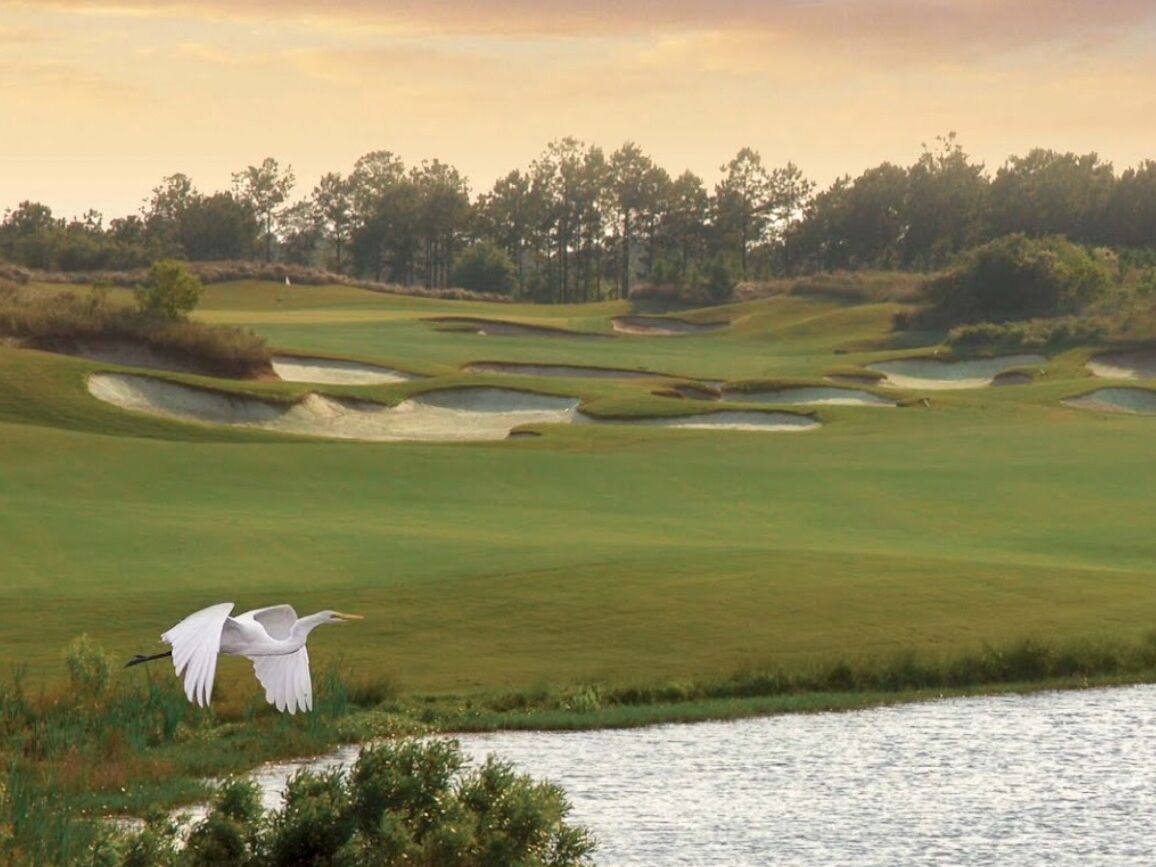 Picture of Barefoot Resort & Golf