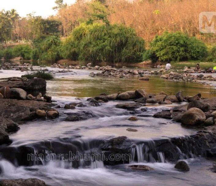 Picture of Aralam Farm and Wildlife Sanctuary