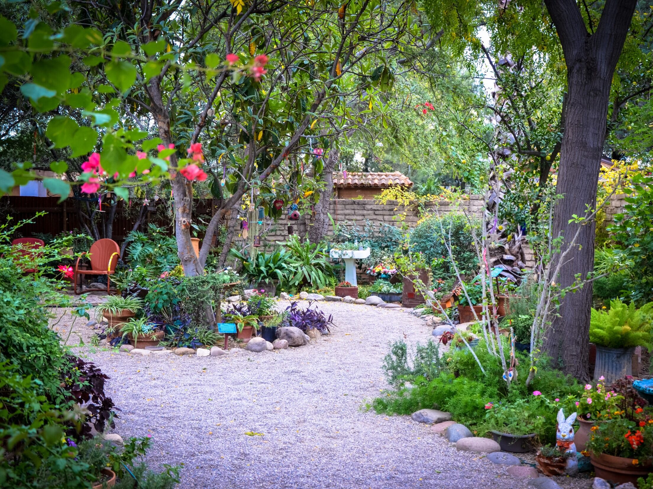 Picture of Tucson Botanical Gardens