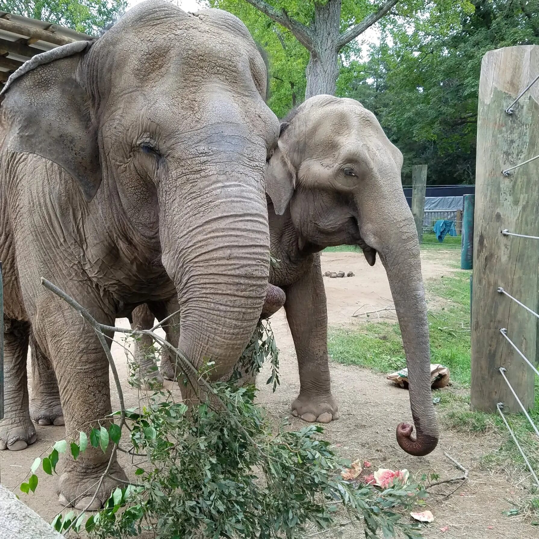 Picture of Buttonwood Park Zoo
