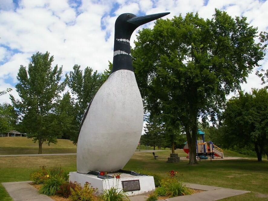 Picture of World's Largest Loon