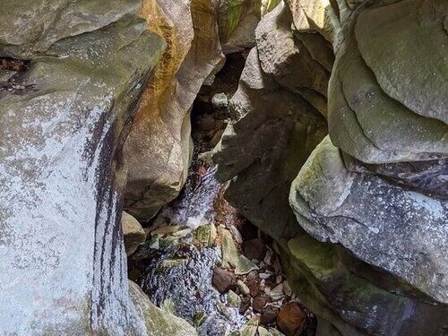 Picture of Natural Bridge State Park