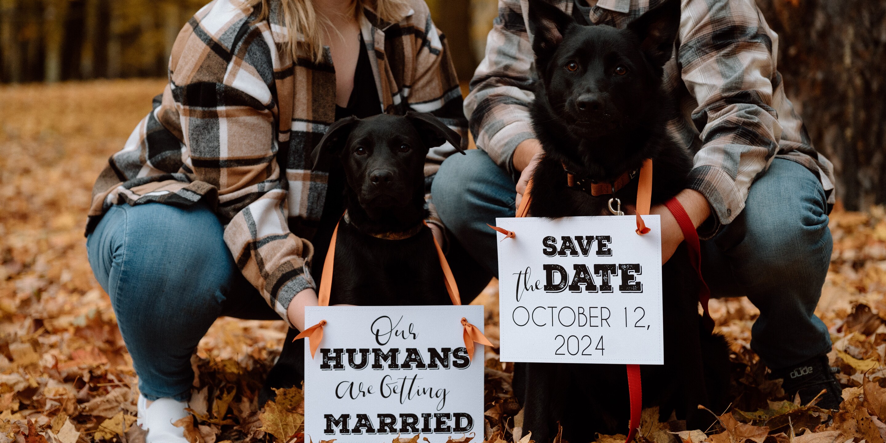 Hallie & Gage Home Page Banner