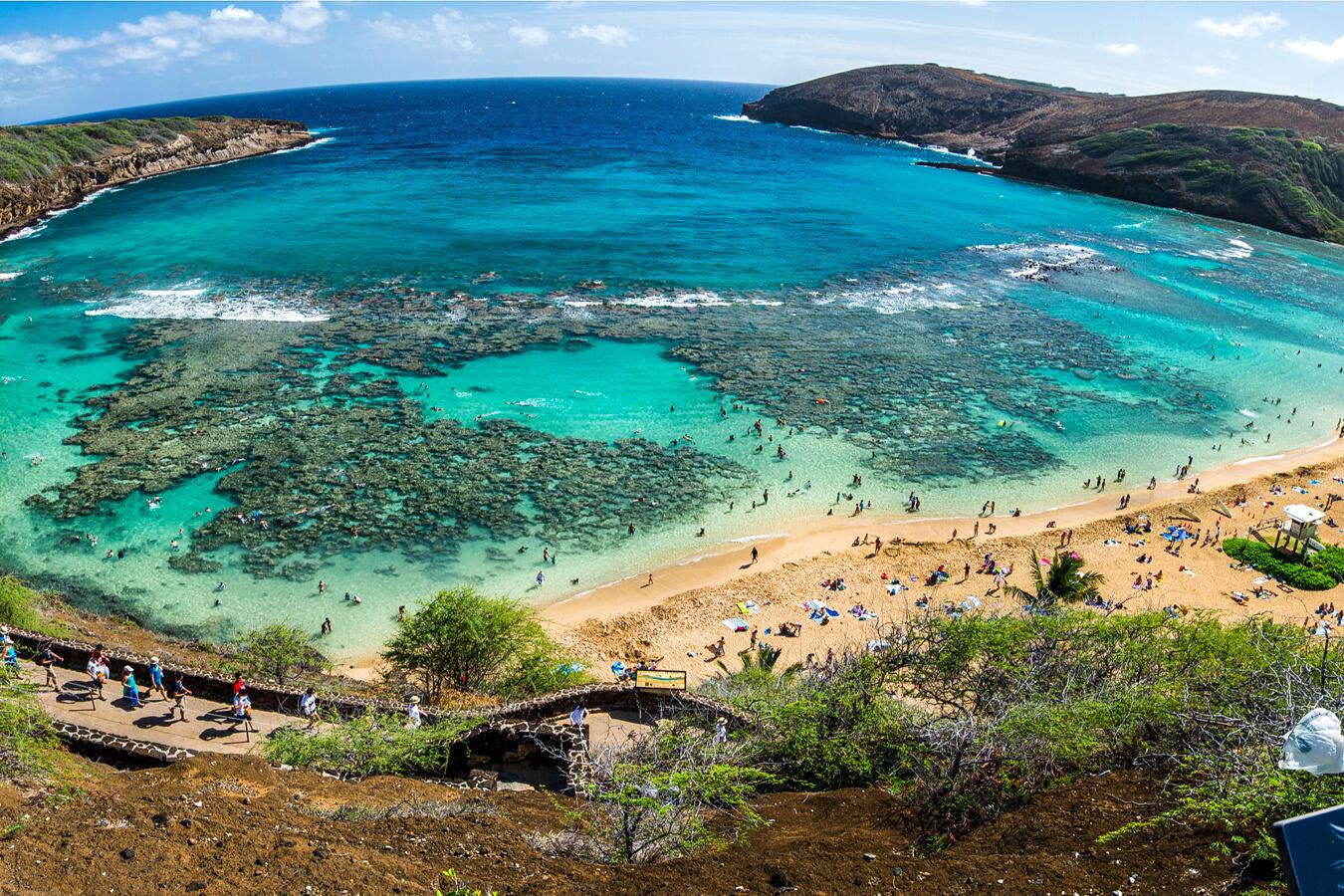 Picture of Hanauma Bay Snorkeling- July 19, 2025 