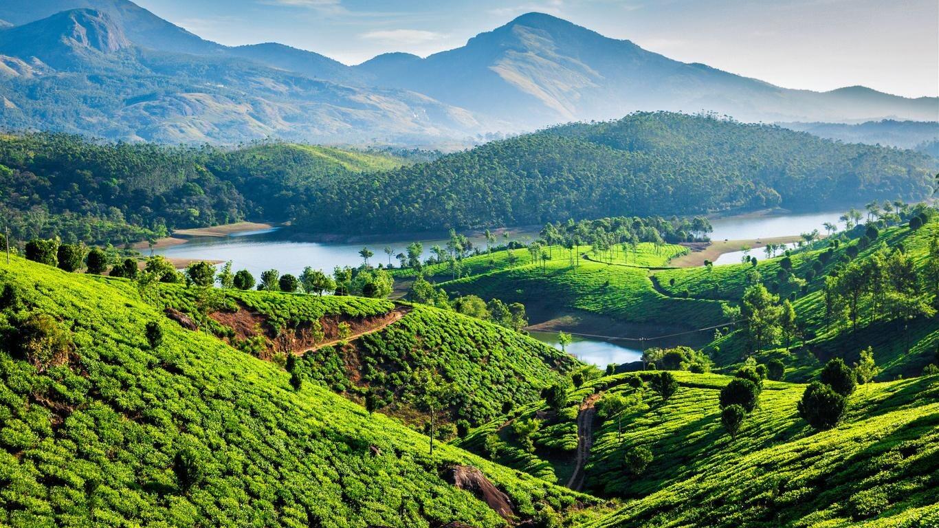 Picture of Munnar