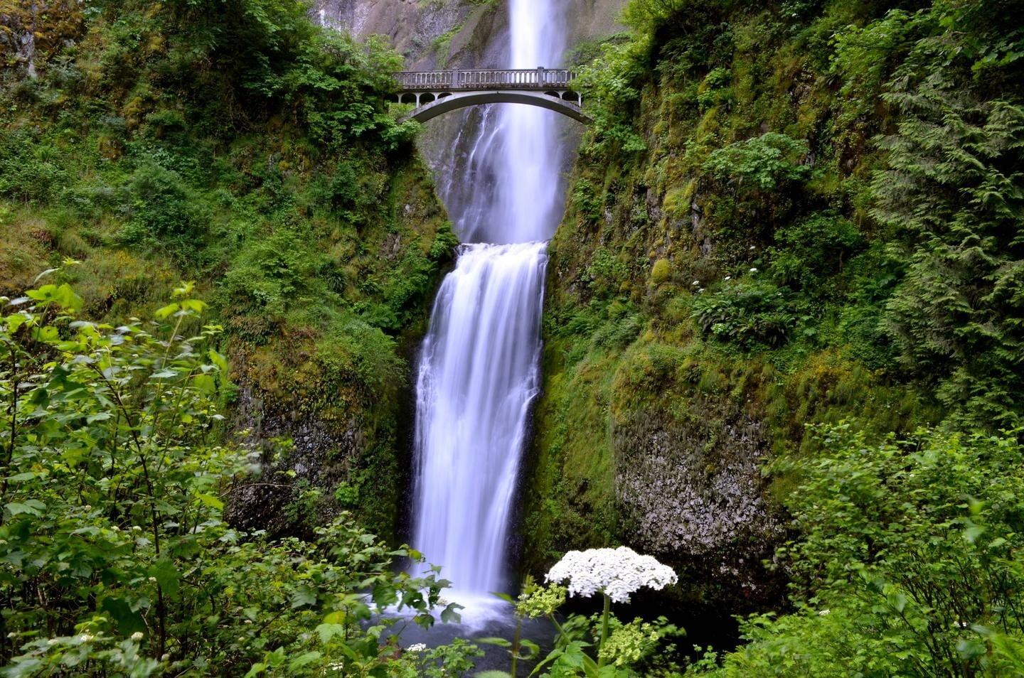 Picture of Multnomah Falls