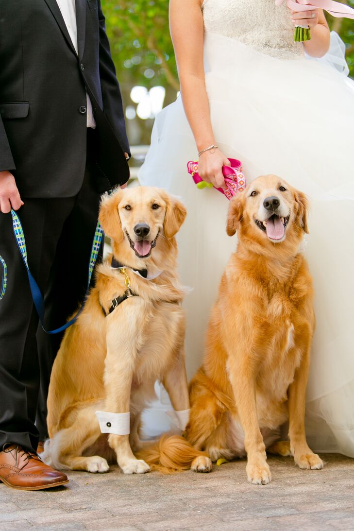 Lauren and Andy consider their golden retrievers their "babies," so of course they popped up during the wedding. Remsen and Harley were ready for photos in a bow tie collar, cuffs and matching black cuff links and a perfectly groomed coat.