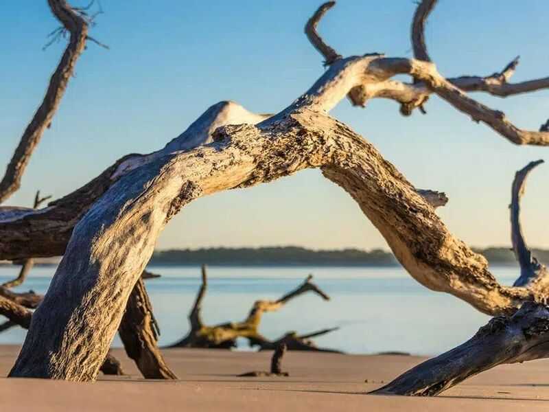 Picture of Big Talbot Island State Park