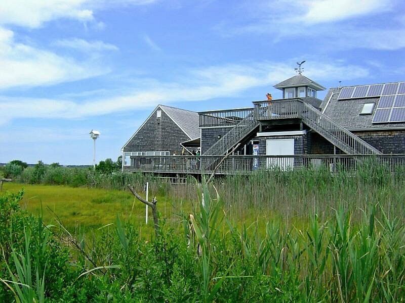 Picture of The Wetlands Institute