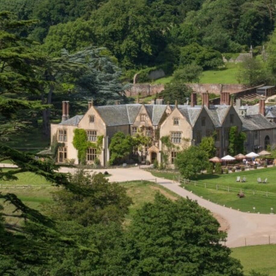 Picture of The Pig - at Combe