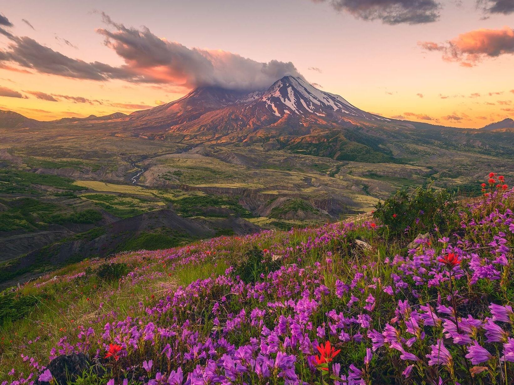 Picture of Mount St. Helens National Volcanic Monument & The Gifford Pinchot NF