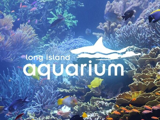 Picture of Long Island Aquarium
