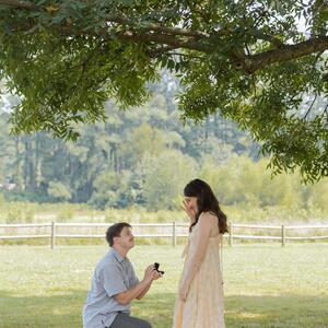Gallery Photo 11