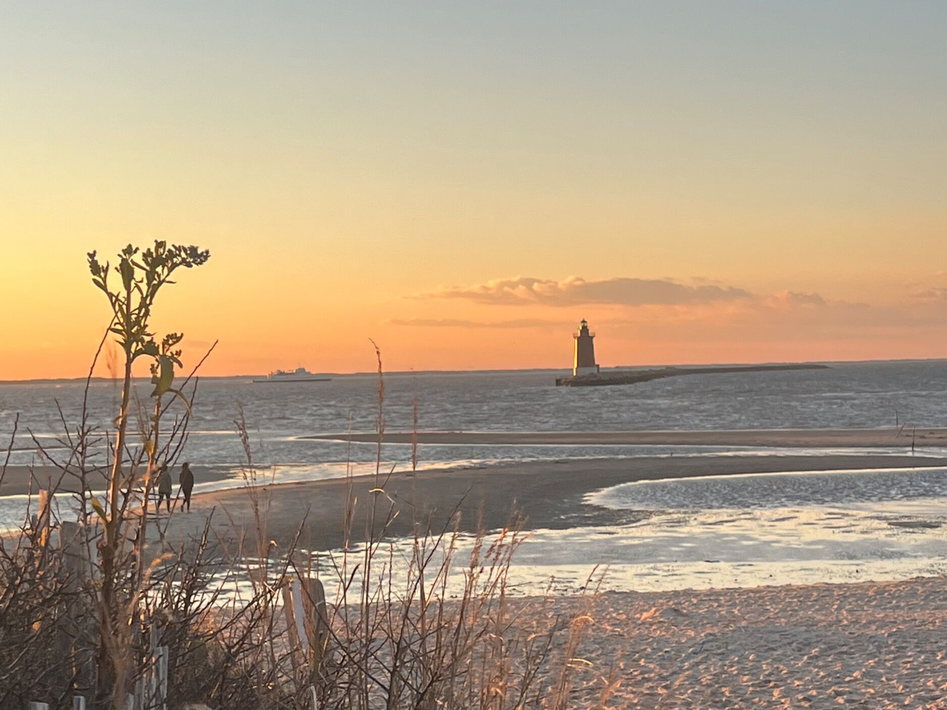 Picture of Cape Henlopen State Park