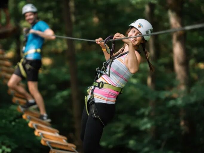 Picture of Treetop Trekking Brampton