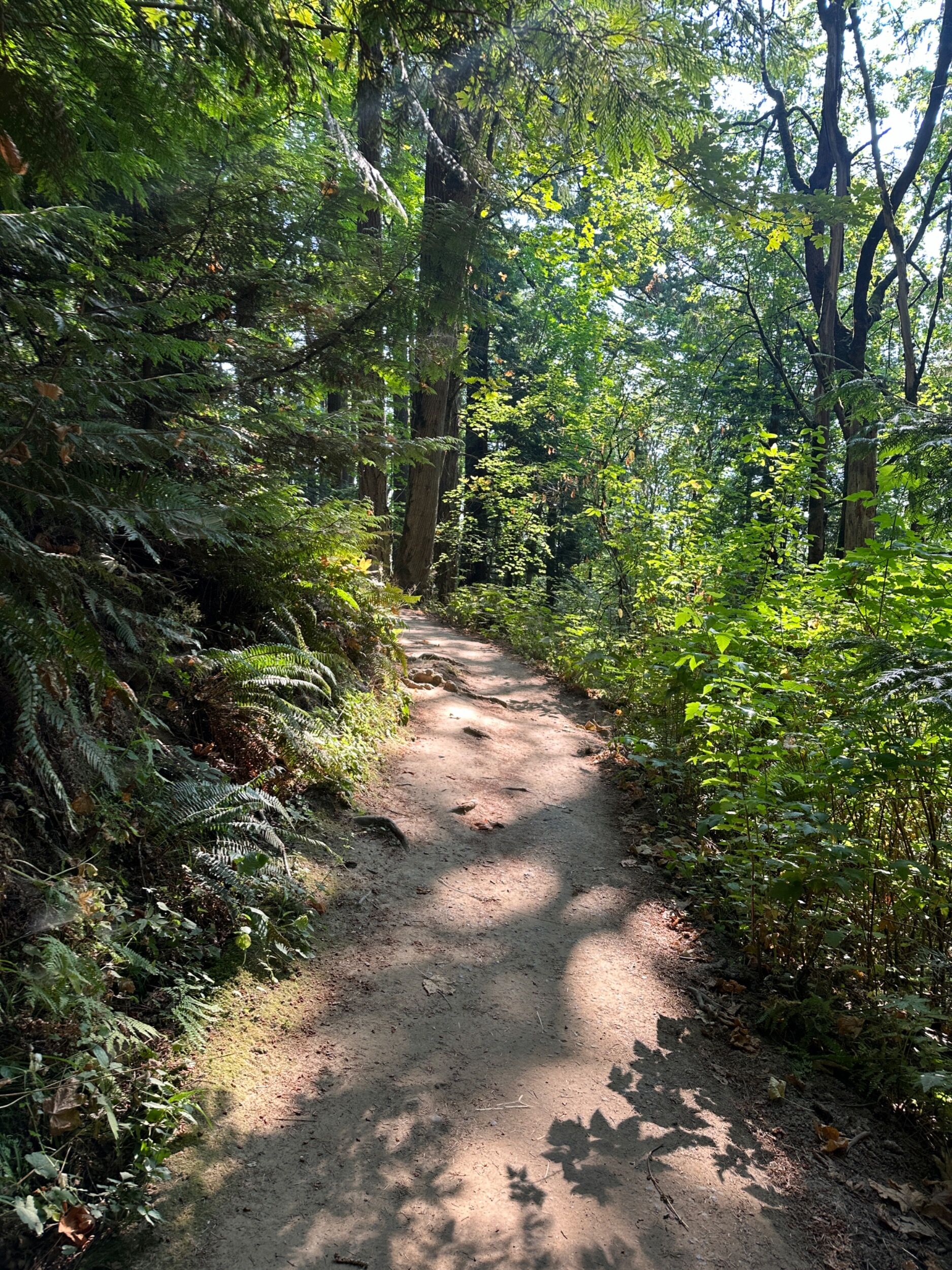 Picture of Forest Park NW PDX Entrance
