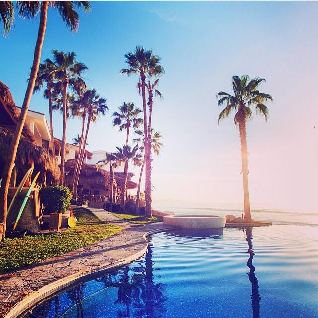 Picture of Cabo Surf Resort
