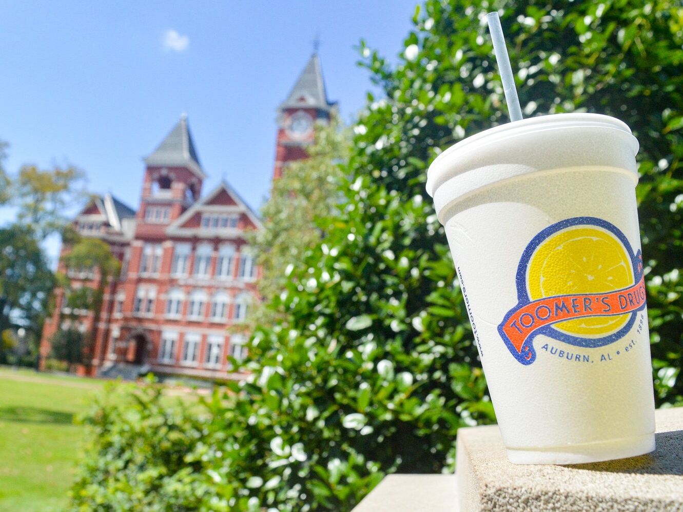 Picture of Toomer's Drugs