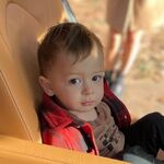 Holden Sheinfeld