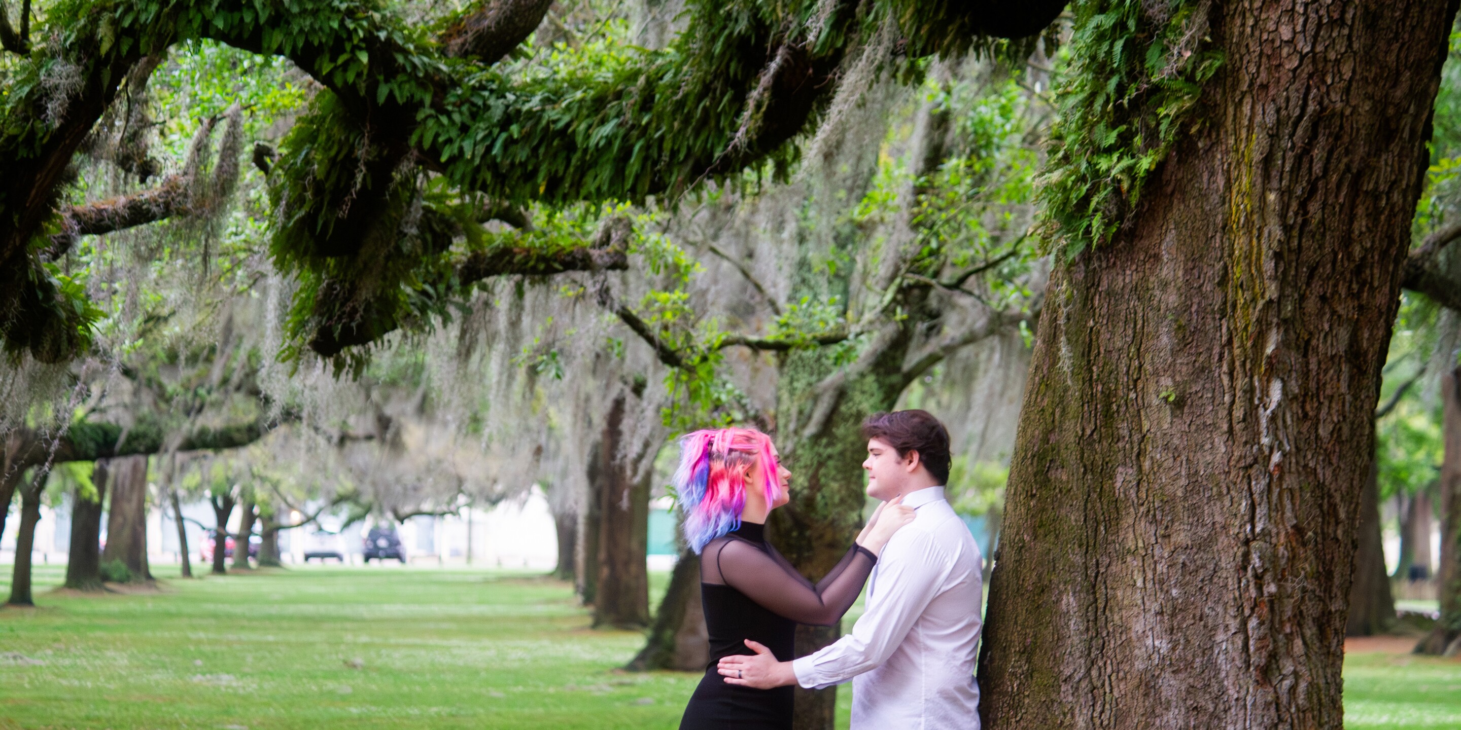 Harmony & Chance Home Page Banner