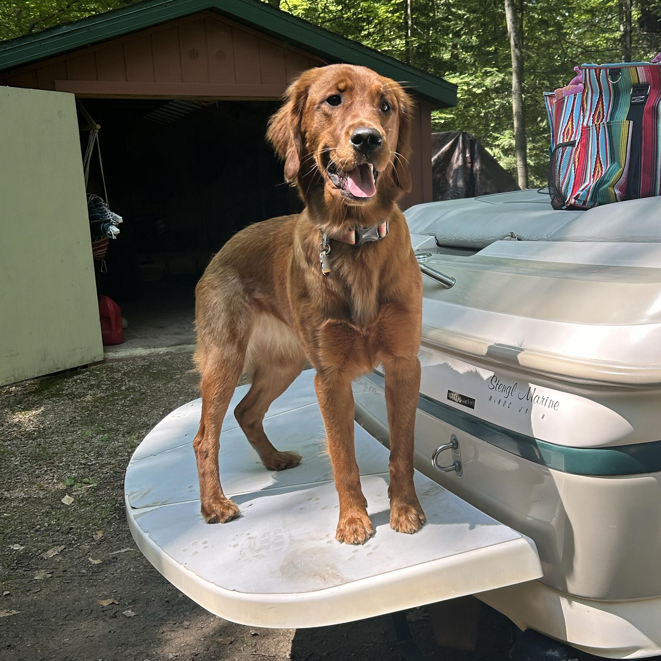 Kona