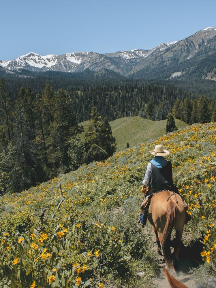 Picture of Swan Mountain Outfitters