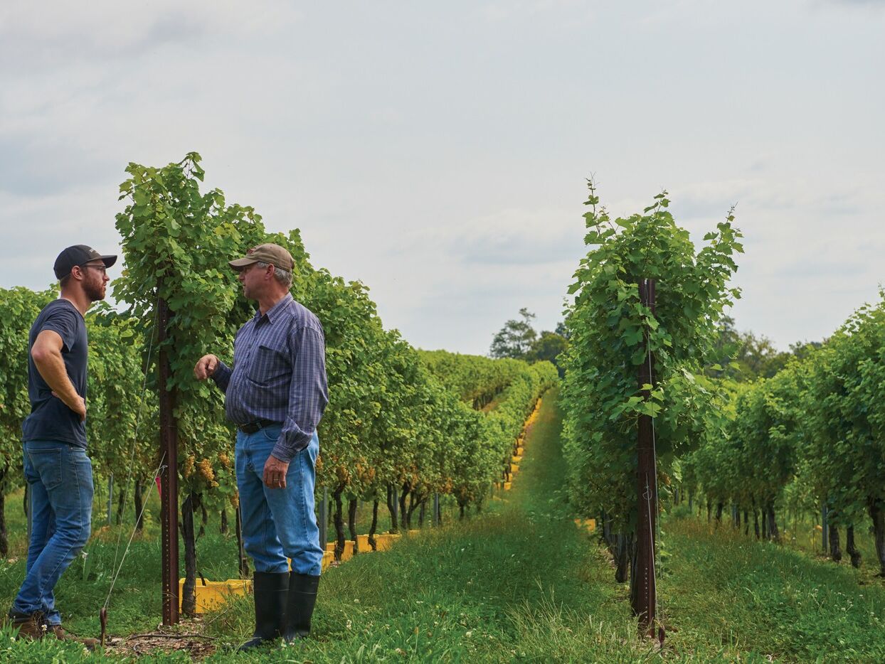 Picture of Waltz Vineyards Estate Winery