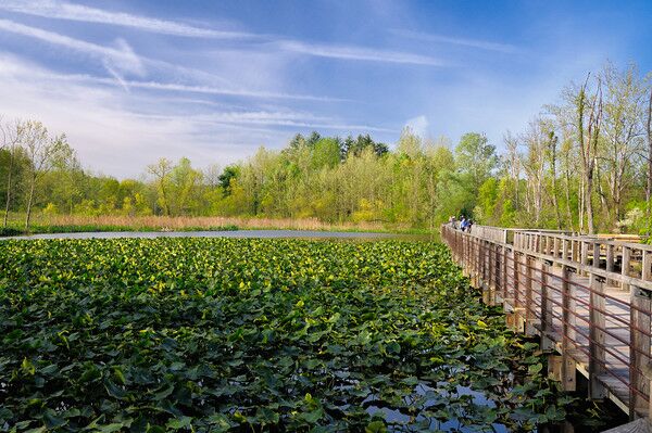 Picture of Cuyahoga Valley National Park