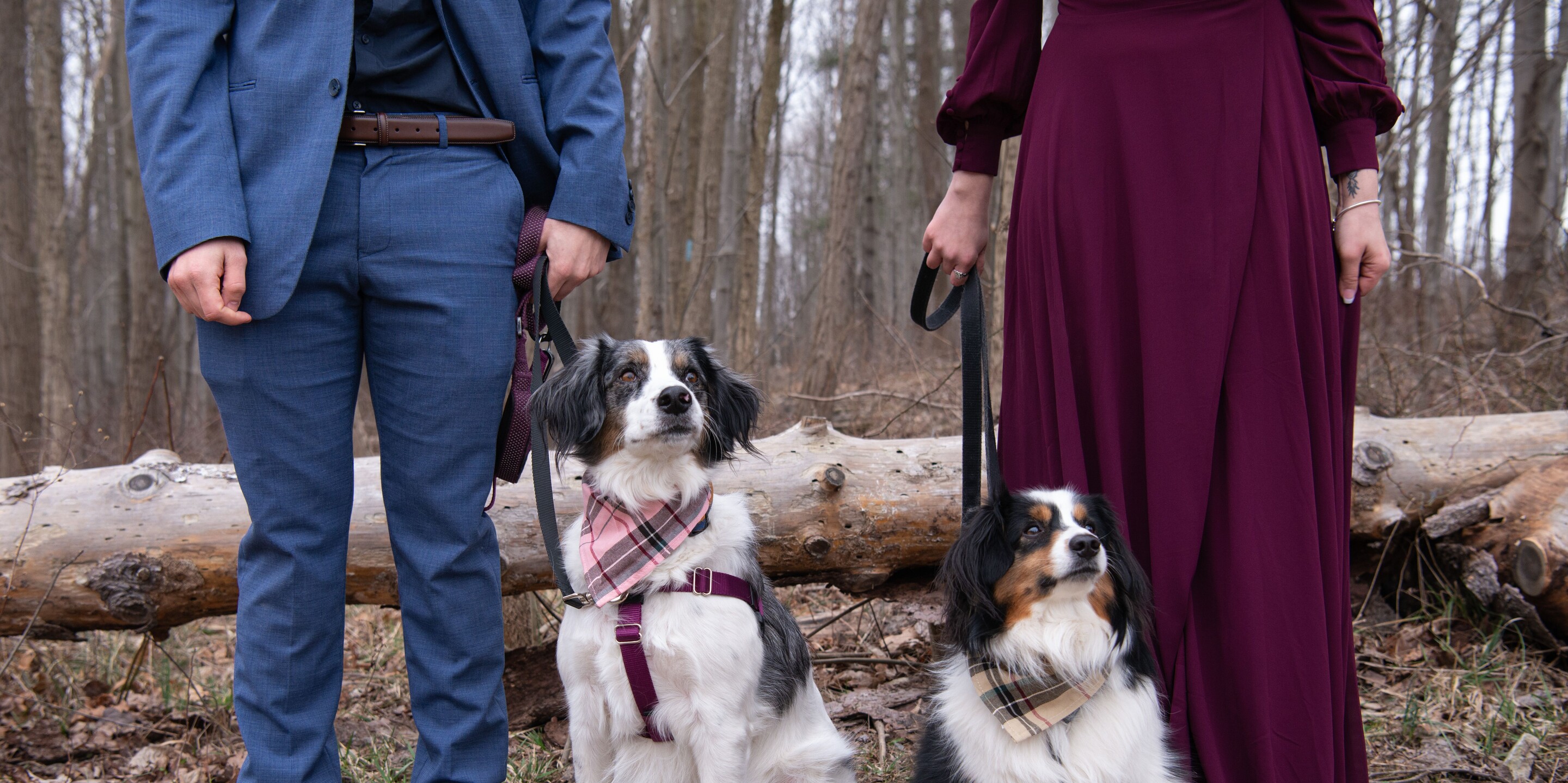 Maria & Francis Home Page Banner