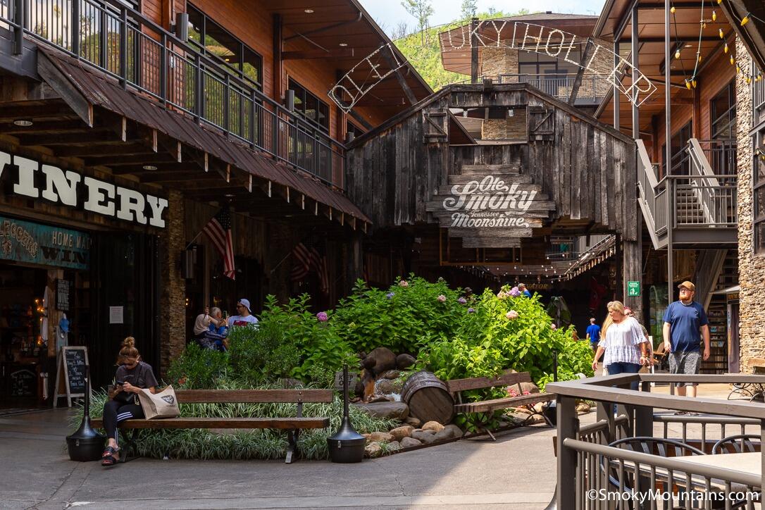 Picture of Gatlinburg Welcome Center