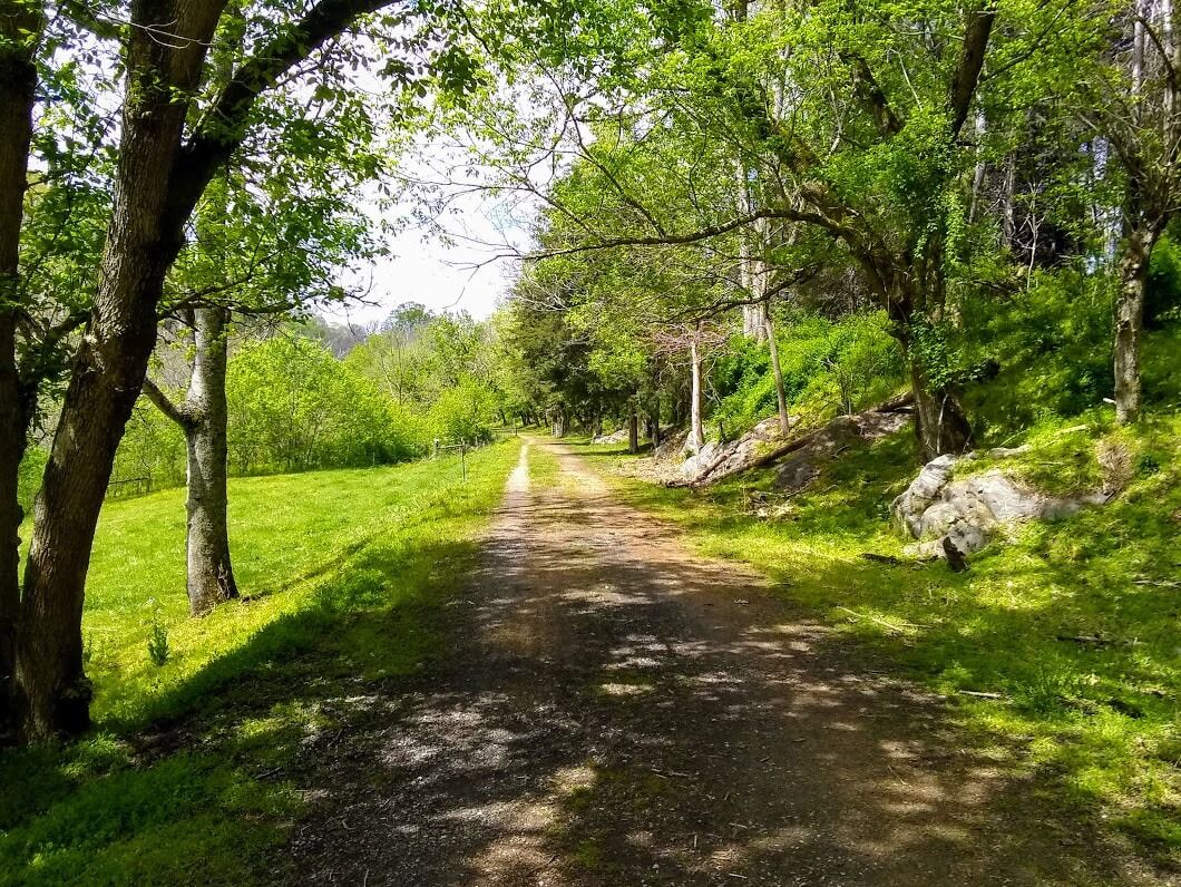 Picture of Chessie Nature Trail