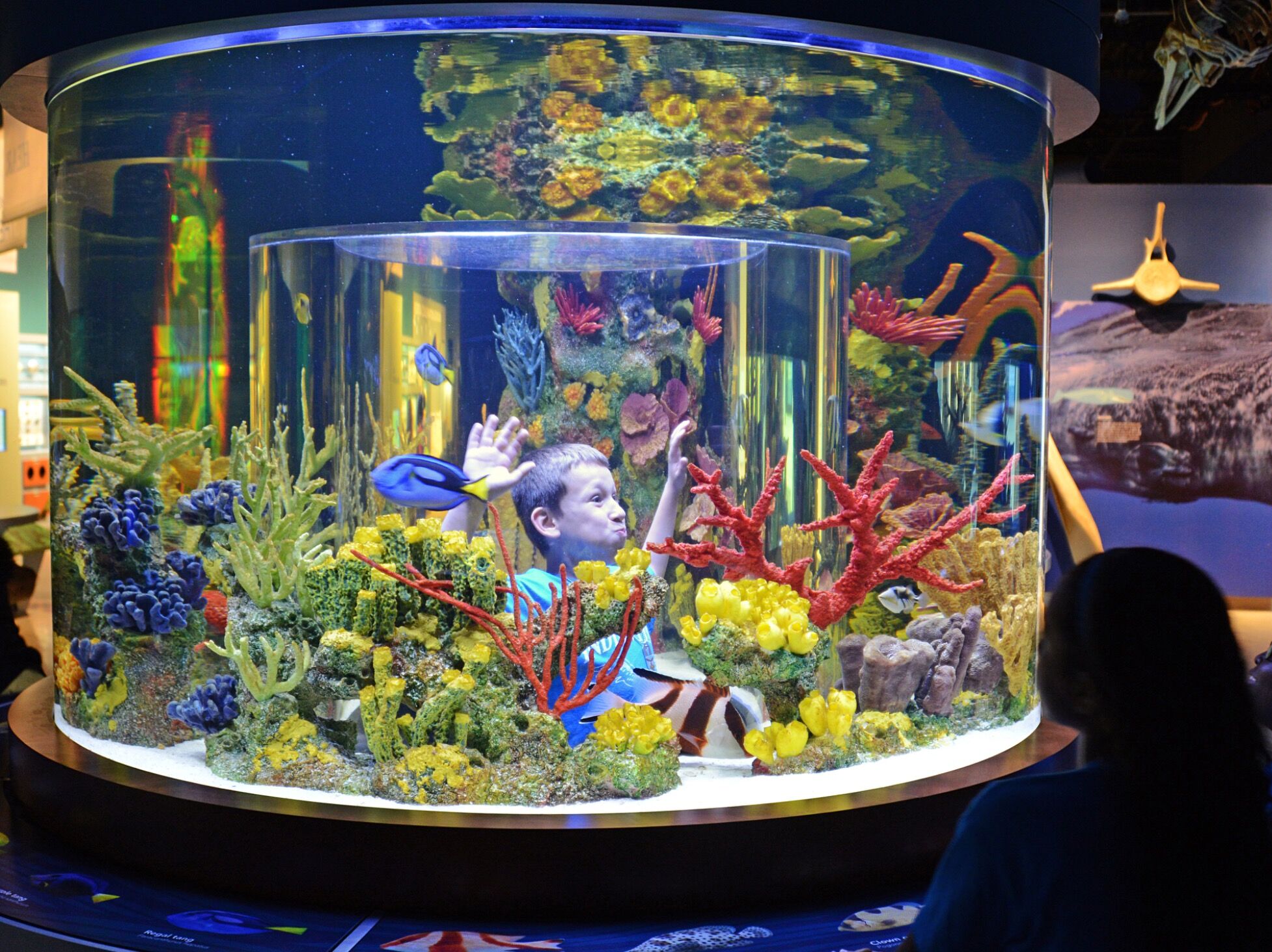 Picture of Cox Science Center and Aquarium