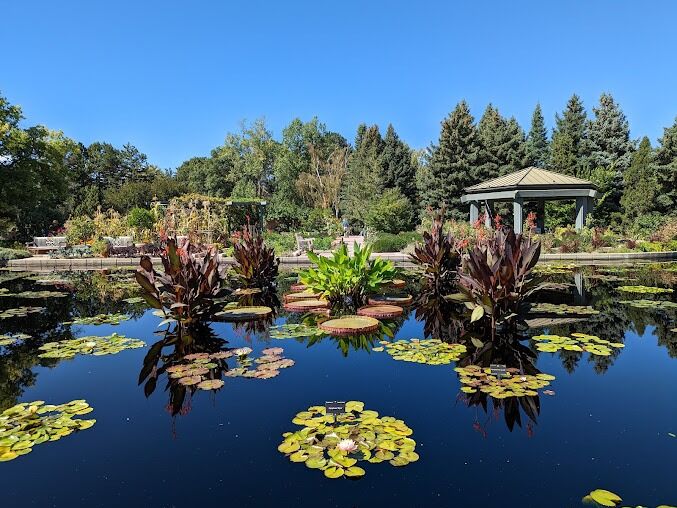 Picture of Denver Botanic Gardens