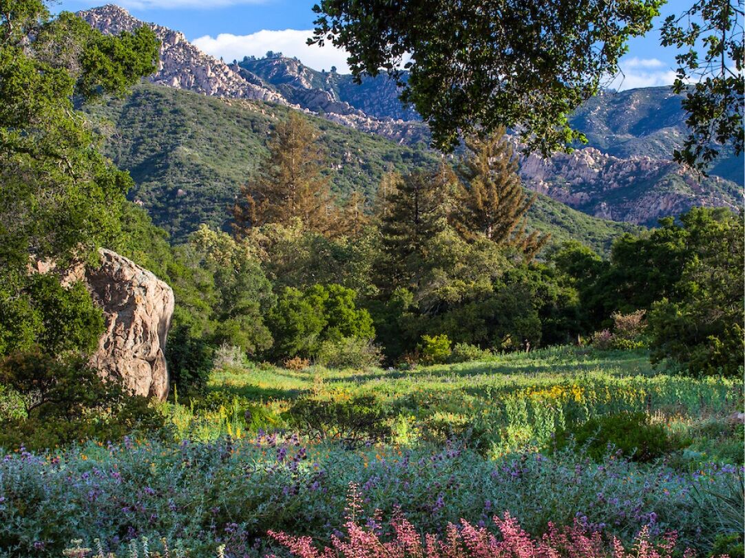 Picture of Santa Barbara Botanic Garden