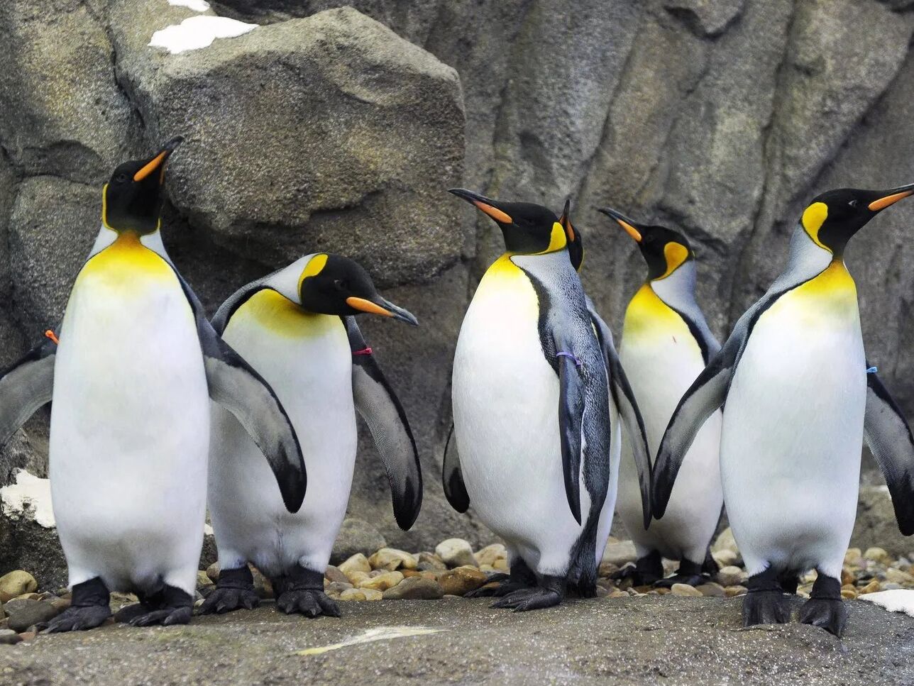 Picture of Calgary Zoo
