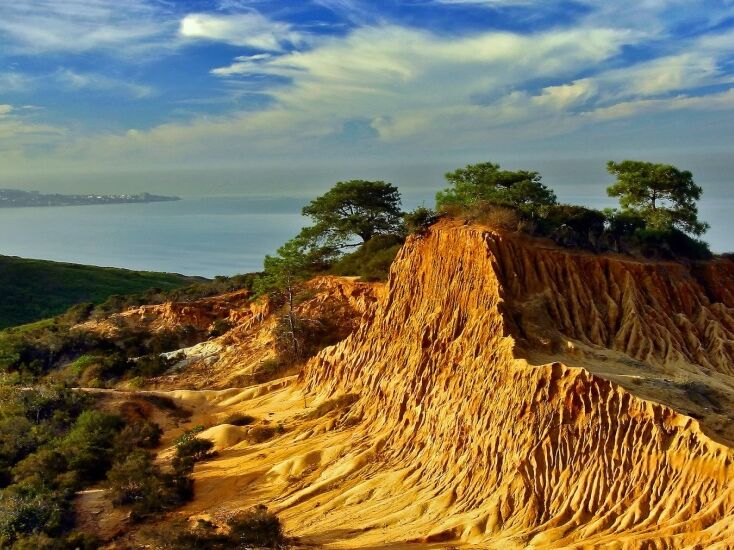 Picture of Torrey Pines State Natural Reserve