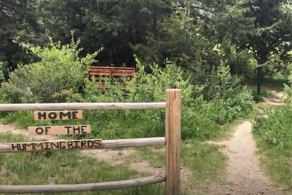 Picture of Hummingbird Trail