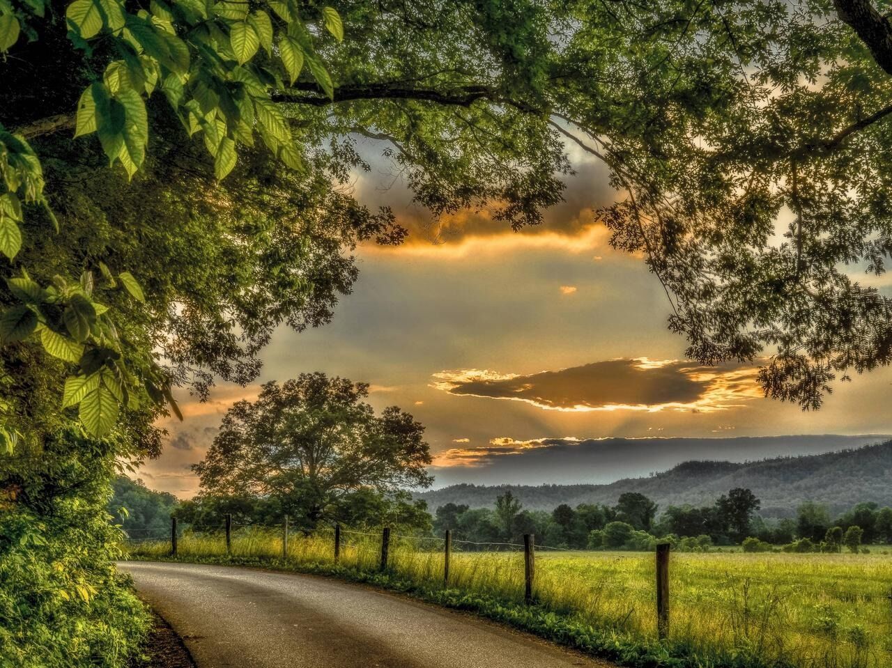 Picture of Cades Cove Scenic Loop