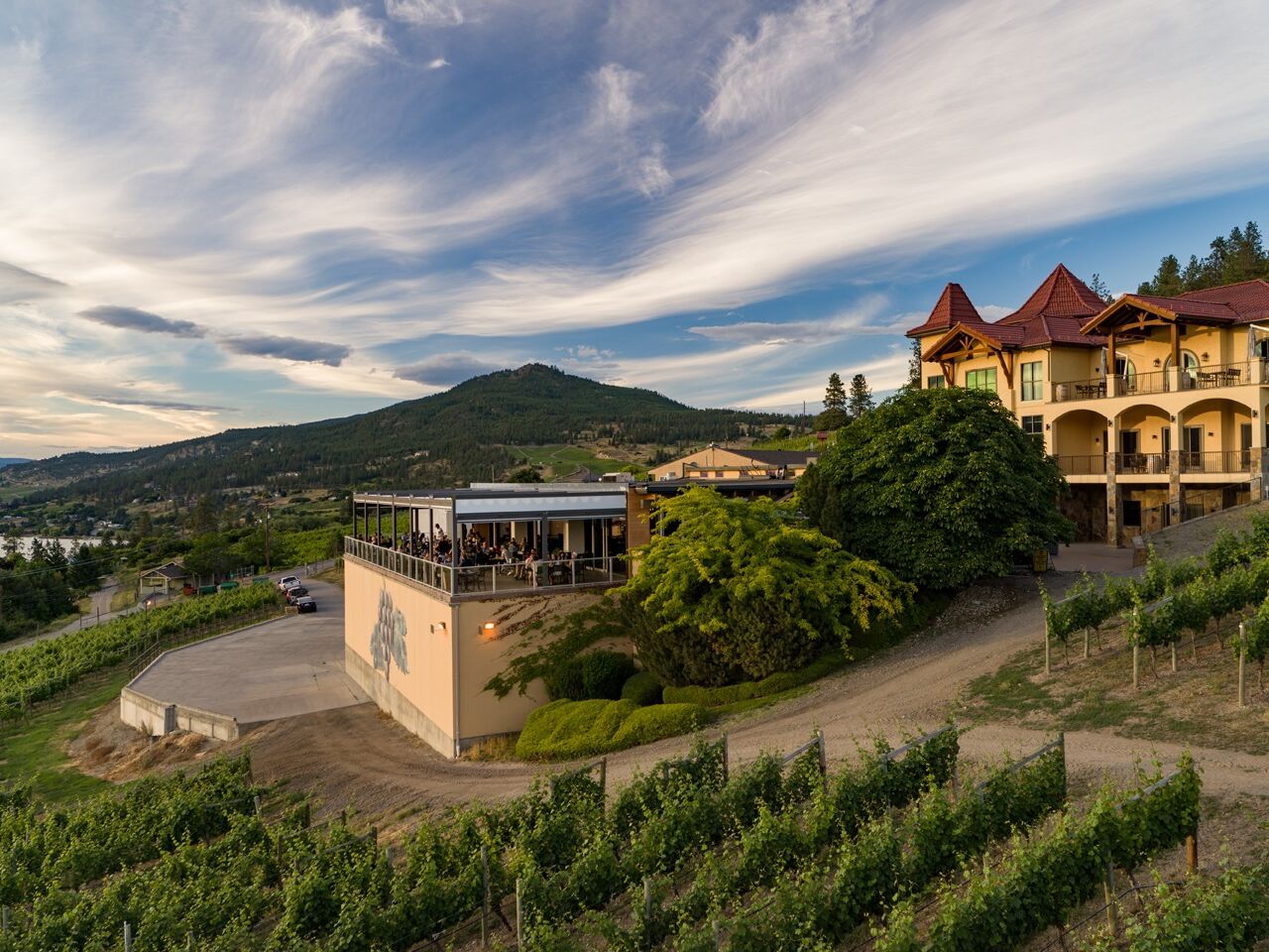 Picture of Visit a Winery 