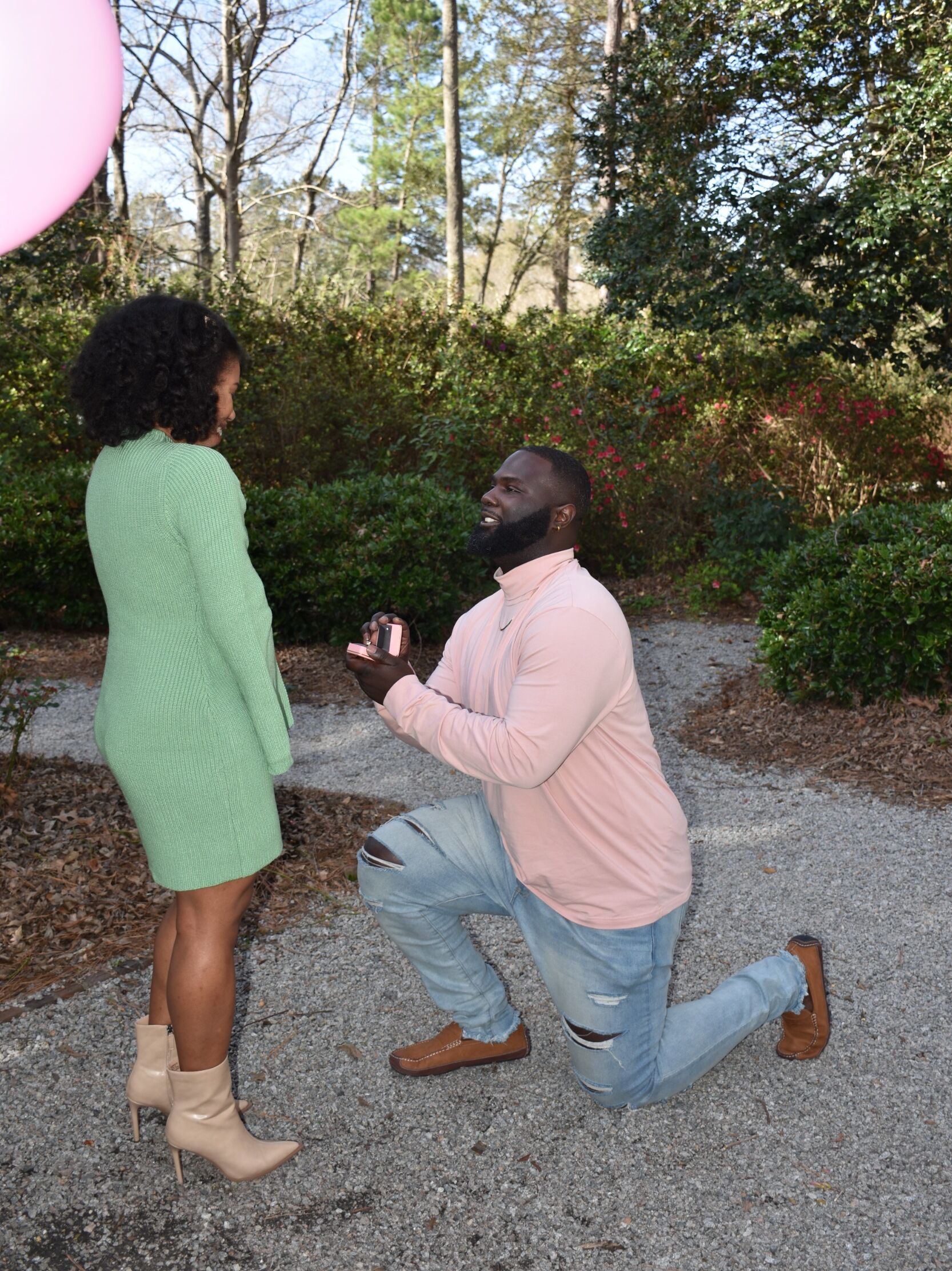 Picture of The Proposal