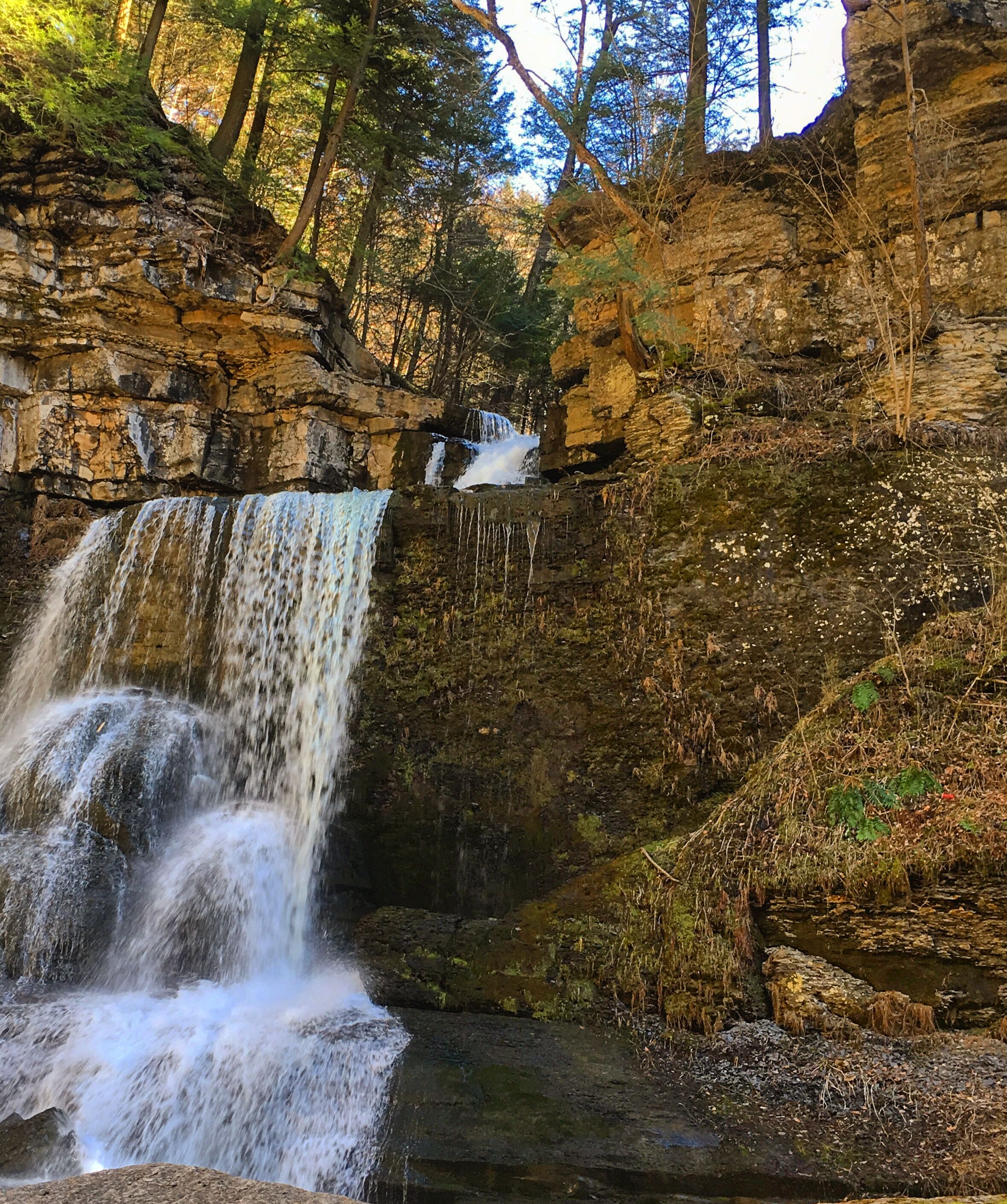 Picture of Fillmore Glen State Park