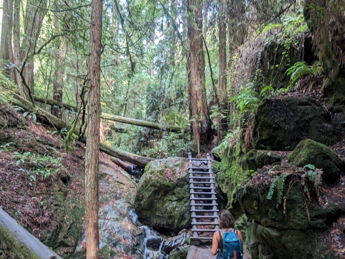 Picture of Mount Tamalpais State Park