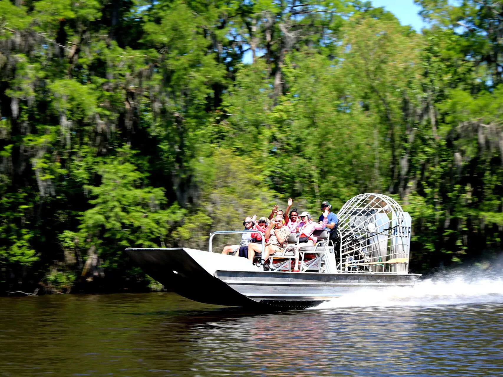 Picture of Gator Swamp Tour