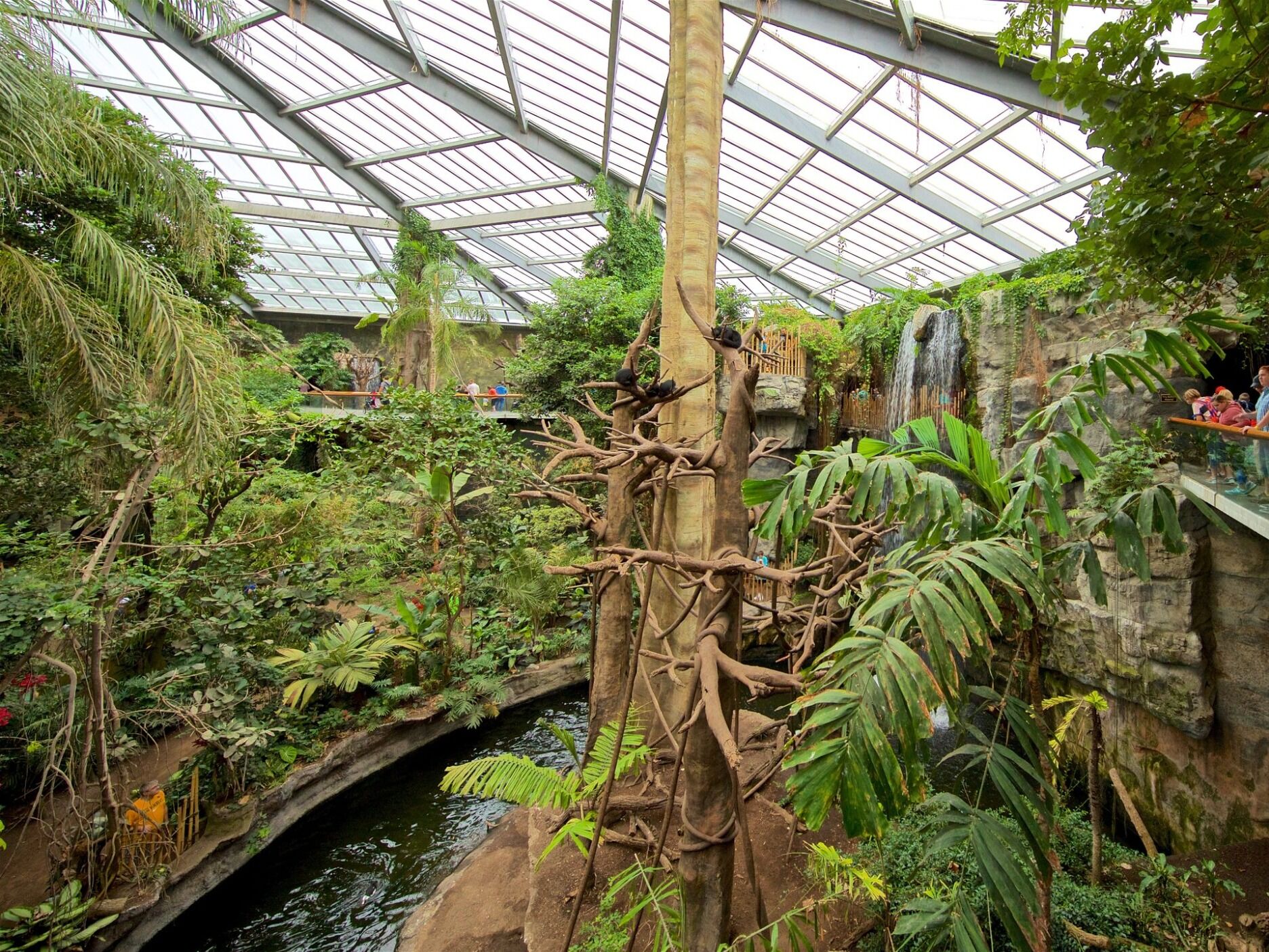Picture of Omaha's Henry Doorly Zoo and Aquarium