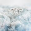 An Intimate, Natural Wedding at Boal Mansion in Boalsburg, Pennsylvania
