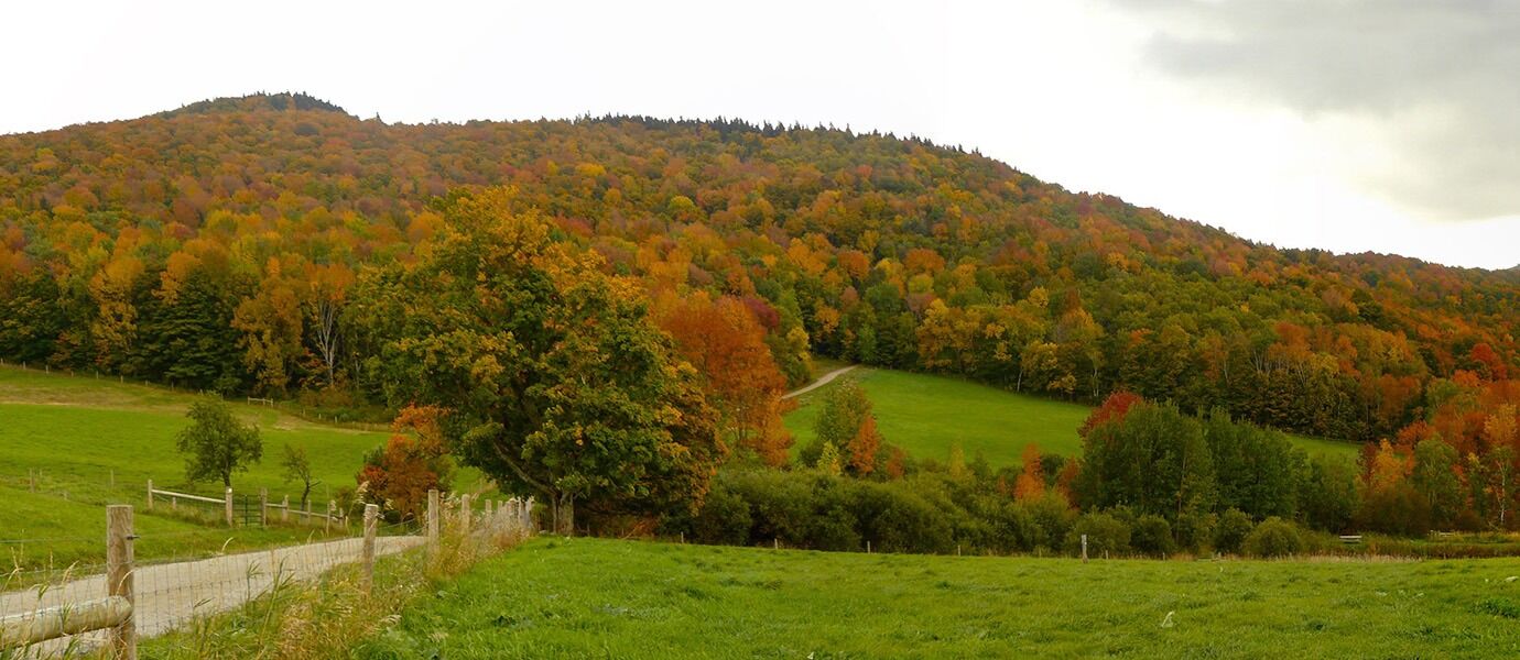 Picture of Merck Farm