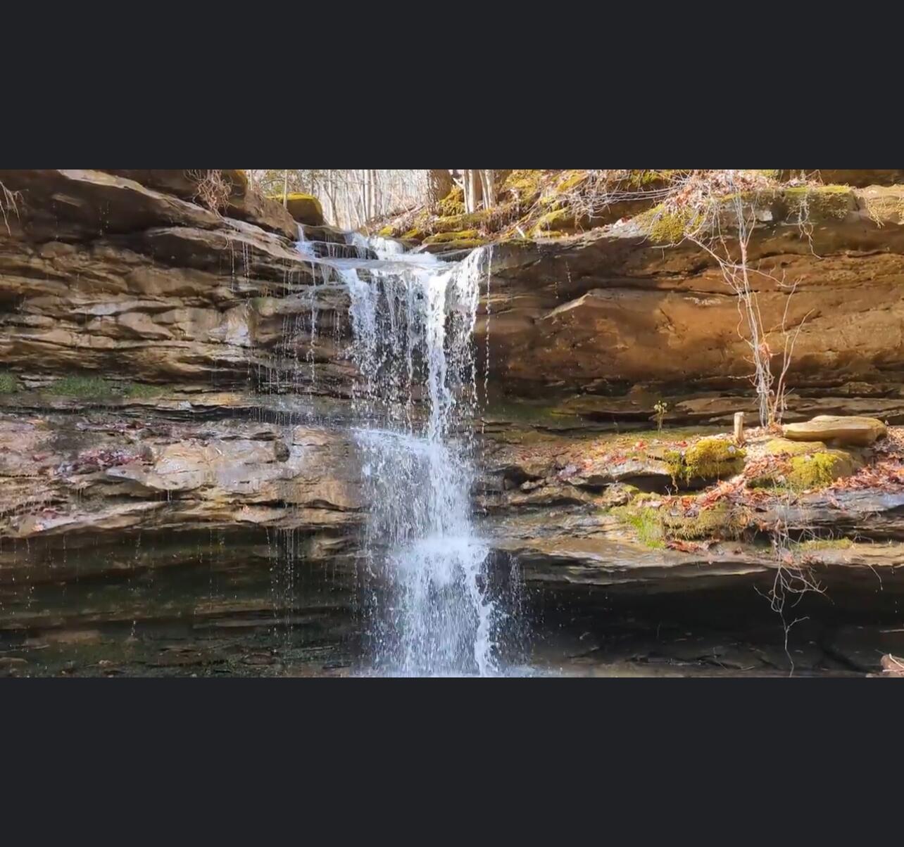 Picture of Cane Creek Canyon Nature Preserve